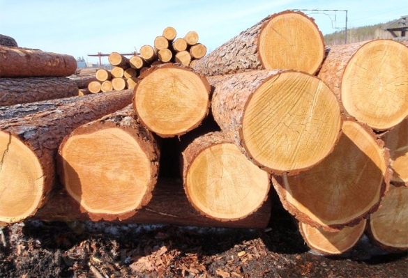 Проблемы работы с древесиной и их решение