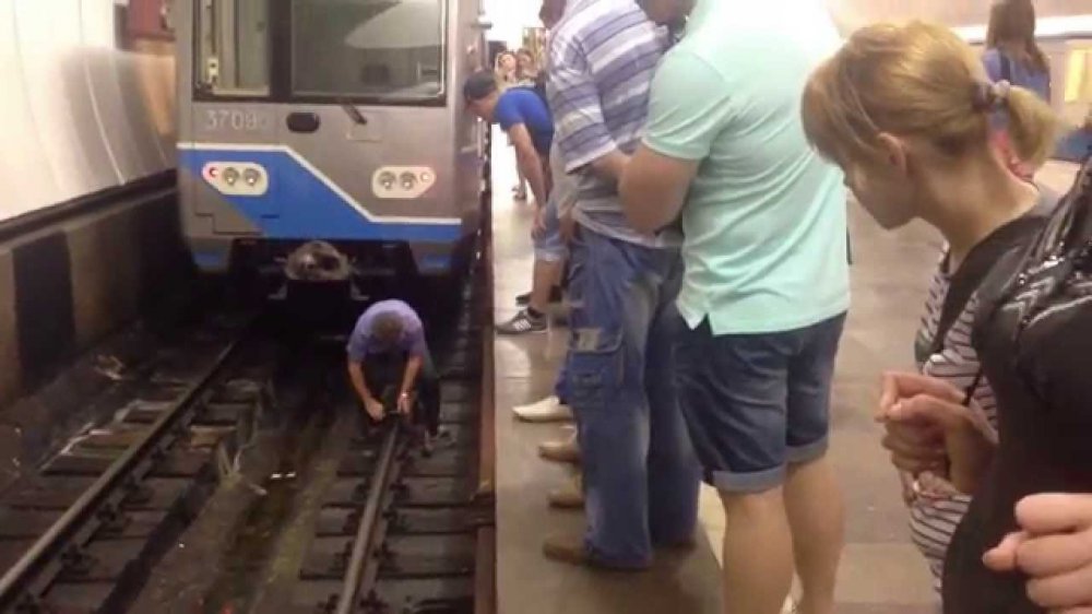 Страшное ЧП с пассажиром создано коллапс на «желтой» ветке метро
