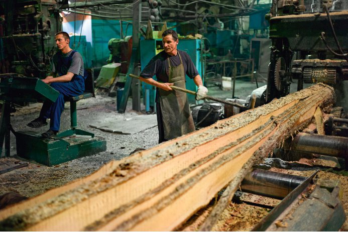 В Вологодской области быстро построят мощный лесопильный завод