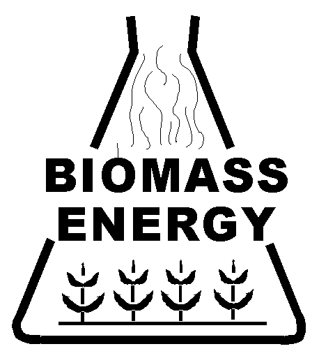 Развитие Европейского рынка биоэнергетики