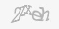 Защитный код