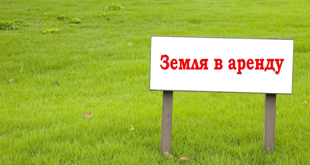 Вот так правительство изменило правила определения оплаты аренды госземель
