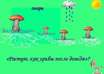 Борьба в Совете НОСТРОЙ. Не очень законно, но с чувством долга перед Родиной НОСТРОЙ и РТН размазывают «новые СРО». И правильно делают