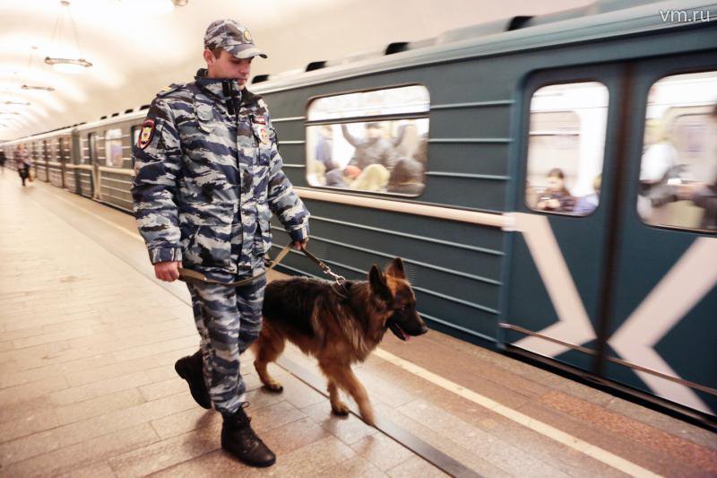 Почему в Москве срочно закрыли станцию метро «Спортивная»