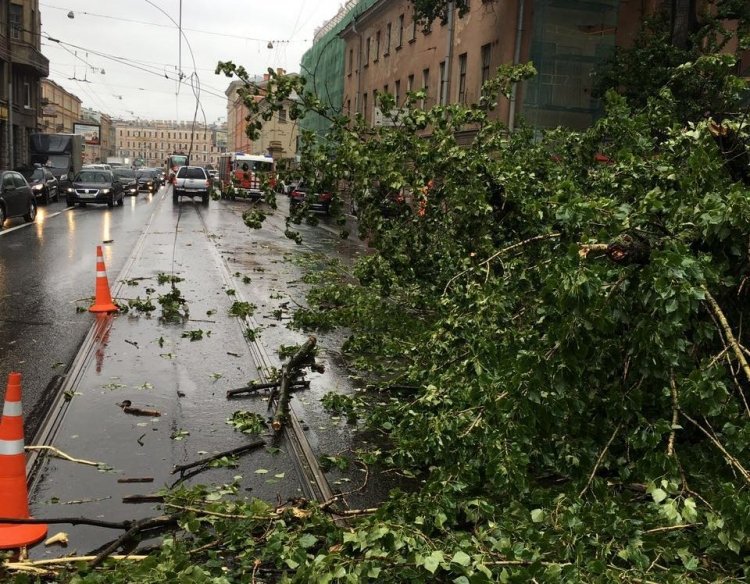 В Московской области системы жизнеобеспечения подготовили к непогоде