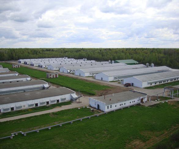 Какой крупнейший агропарк китайцы возведут в Чувашии