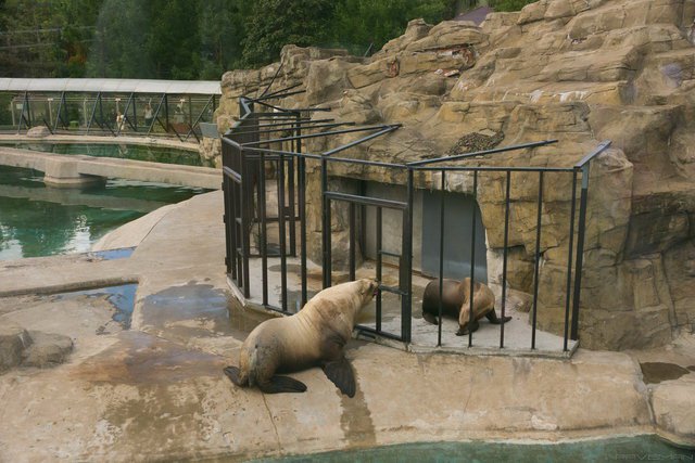 Павильоны московского зоопарка