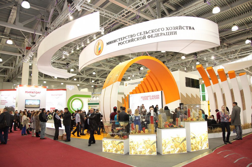 Где в Ростовской области построят тепличный комплекс за 5 млрд рублей