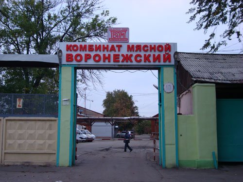 Какой крупный микрорайон построят в Воронеже на месте заброшенного мясокомбината