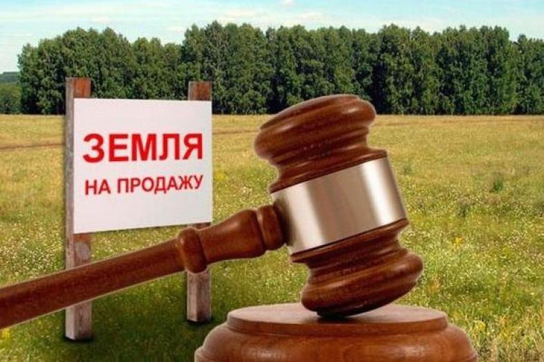 Почему в Зеленограде власти продают 3  участка  под строительство