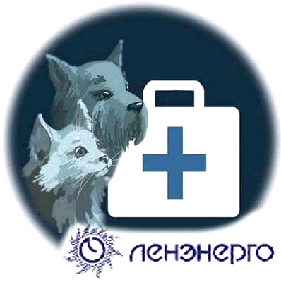 «Ленэнерго» организовали выделенную мощность для ветеринарной клинике в Питере
