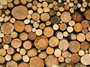 Обработка круглой древесины на лесопильных станках